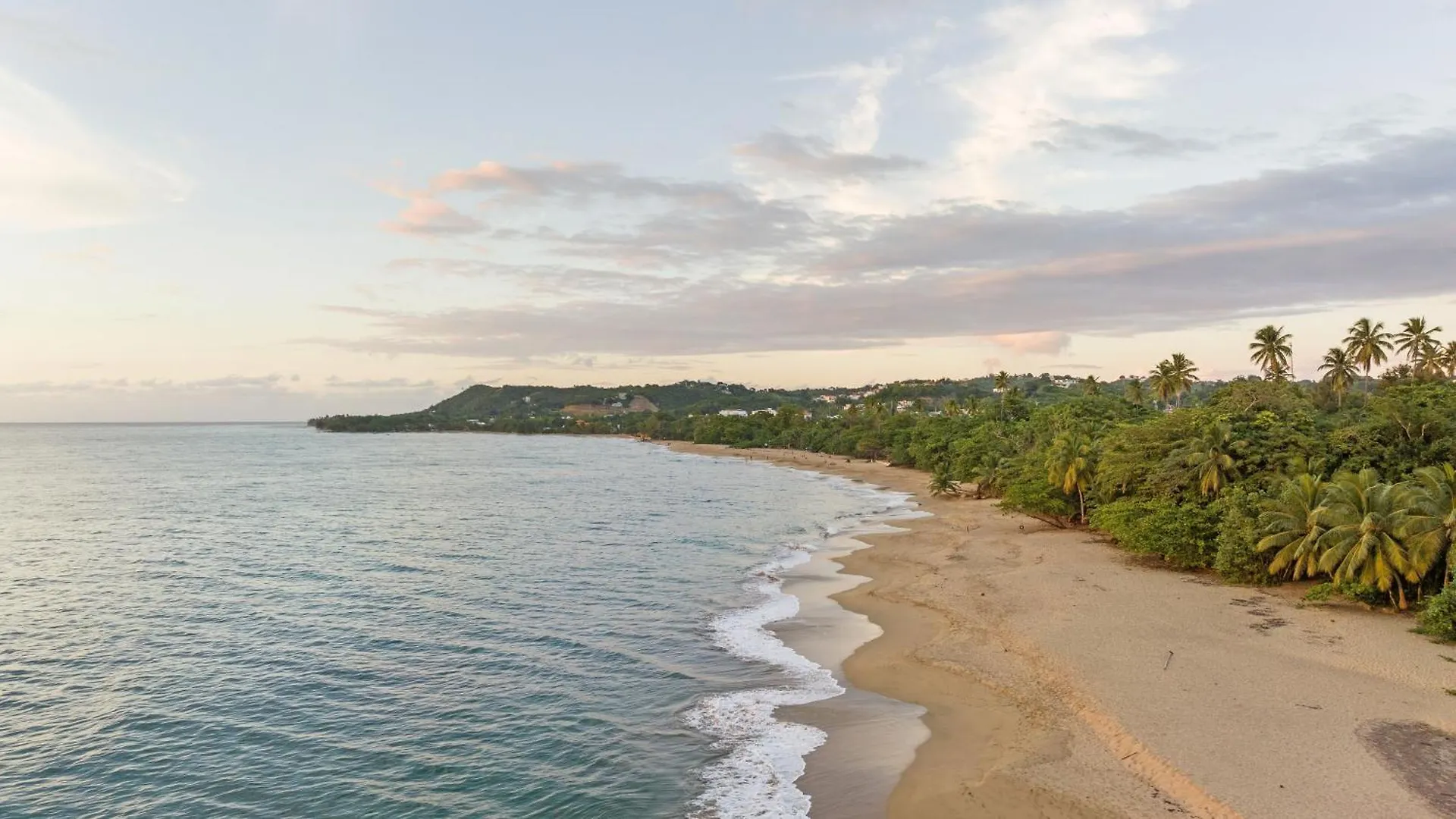 Casa Loba Luxe Unit 1 With Private Swimming Pool Apartment Rincon